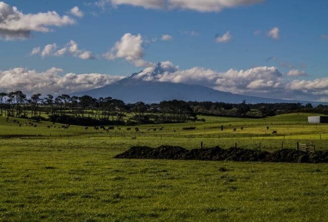 Transforming Taranaki Food landscape