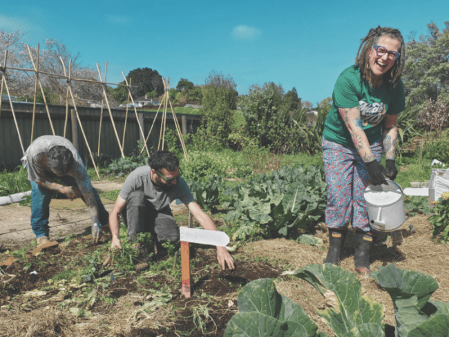 Kōia – gardening for wellbeing